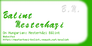 balint mesterhazi business card