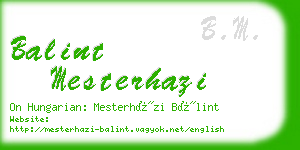 balint mesterhazi business card